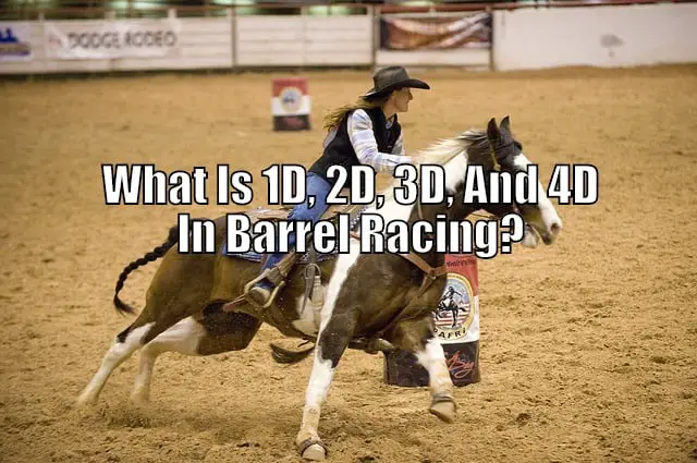 1D 2D 3D 4D barrel racing