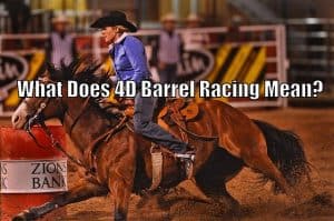 What Does 4D Barrel Racing Mean? – Horse FAQ’s