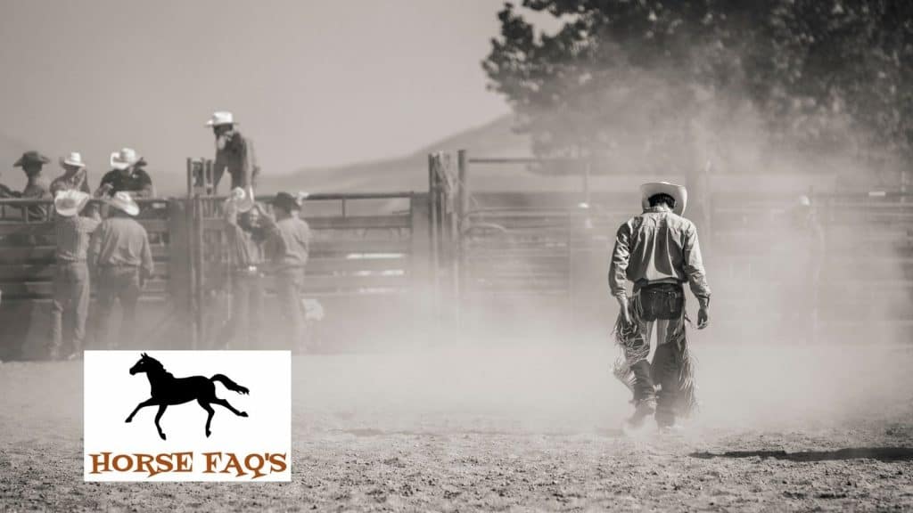 cowboy walking away at rodeo