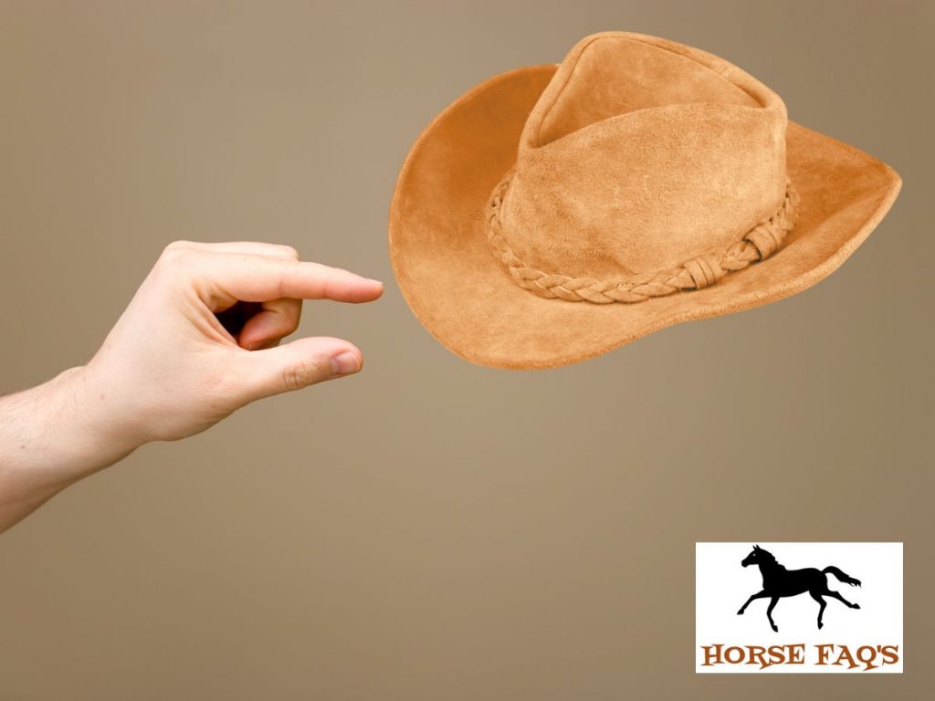 Cowboy Hat Guide