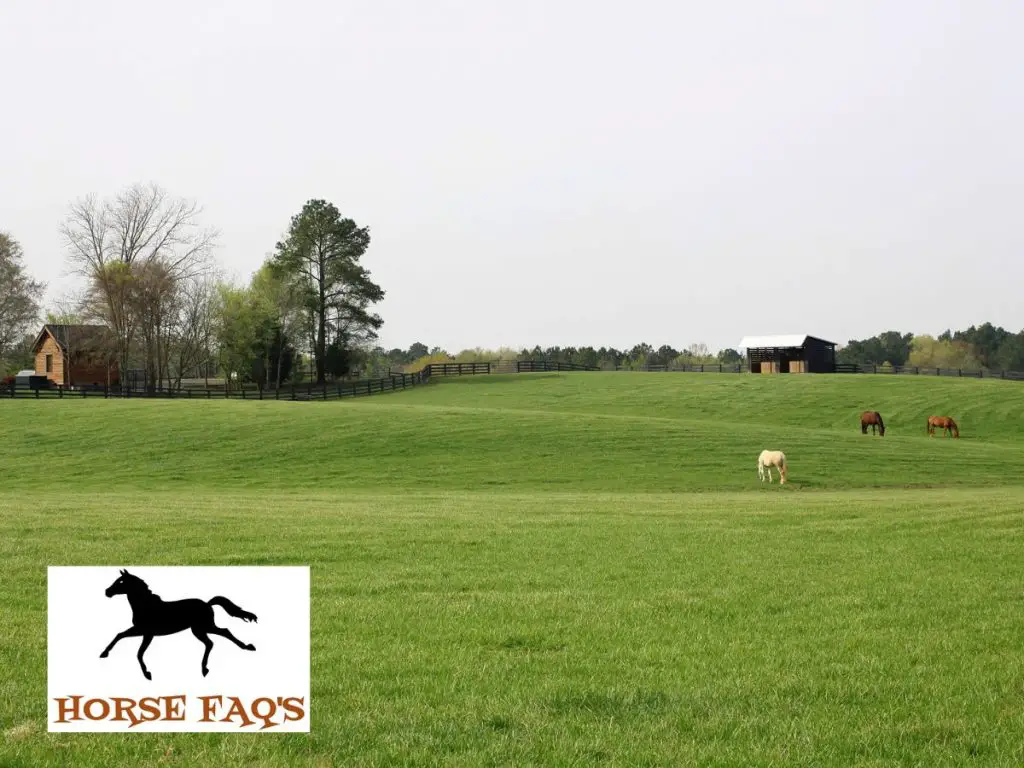 Is A Horse Farm A Good Investment 